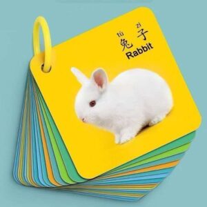 Animal Learning Cards